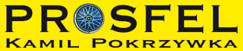 PROSFEL logo